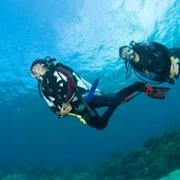 Try Scuba Diving with Stingray Divers Try Scuba Diving with Stingray Divers