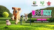 WoofFest - Beirut - The Biggest Festival for dogs and their people WoofFest - Beirut - The Biggest Festival for dogs and their people
