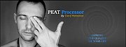 PEAT Practitioner Certification Level 1 in Beirut PEAT Practitioner Certification Level 1 in Beirut