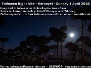 Fullmoon Nighthike Kornayel with Wolves Clan Fullmoon Nighthike Kornayel with Wolves Clan