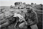 Revolutionaries, First Decade - Kaveh Kazemi Revolutionaries, First Decade - Kaveh Kazemi