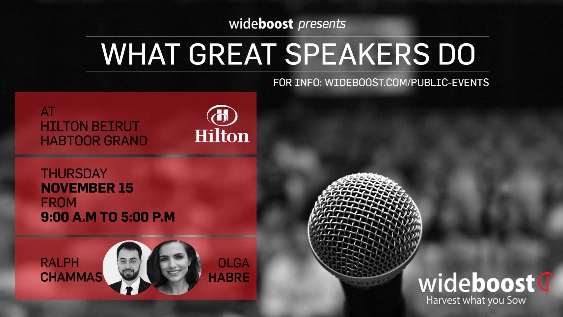Basics Of Public Speaking Lebtivity