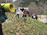 Yogis & Dogs Enjoying Kfardebian Valley With Ziad Yogis & Dogs Enjoying Kfardebian Valley With Ziad
