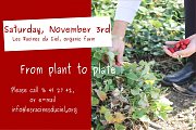 From plant to plate From plant to plate