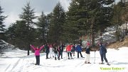 Arz Tannourine Snowshoeing with Vamos Todos Arz Tannourine Snowshoeing with Vamos Todos