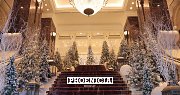 Festive Season at Phoenicia Hotel Festive Season at Phoenicia Hotel