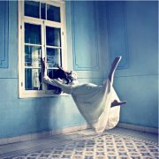 'Depths' by Lara Zankoul - Photographic & Cinemagraphic Art Exhibition 'Depths' by Lara Zankoul - Photographic & Cinemagraphic Art Exhibition