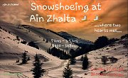 Snowshoeing Experience at Ain Zhalta with GREEN STEPS Snowshoeing Experience at Ain Zhalta with GREEN STEPS