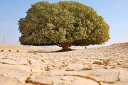 Mysticism and Ethics in Islam التصوف والأخلاق في الإسلام Mysticism and Ethics in Islam التصوف والأخلاق في الإسلام