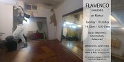 Flamenco New in Mansion Flamenco New in Mansion