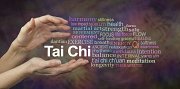 Tai Chi & Qigong with Instructor Munir Abdallah Tai Chi & Qigong with Instructor Munir Abdallah