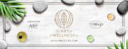 The Art Of Wellness The Art Of Wellness