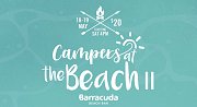Campers at the Beach II Campers at the Beach II