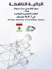 Lebanese Diaspora Energy Lebanese Diaspora Energy