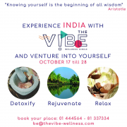 Ayurveda Trip to India with The vibe wellness circle Ayurveda Trip to India with The vibe wellness circle