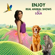 Real Animal Shows Real Animal Shows