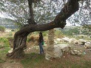 KARM EL-MOHR CEDARS HIKE with DALE CORAZON KARM EL-MOHR CEDARS HIKE with DALE CORAZON