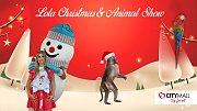 Lola Christmas Show & Animal Show at CityMall Dora Lola Christmas Show & Animal Show at CityMall Dora