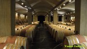 Wine Tour in Batroun with Vamos Todos Wine Tour in Batroun with Vamos Todos